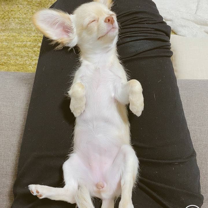 Ce6bea23 5fed 44e5 80db 4f4ee3a1e9c2 1592574262698