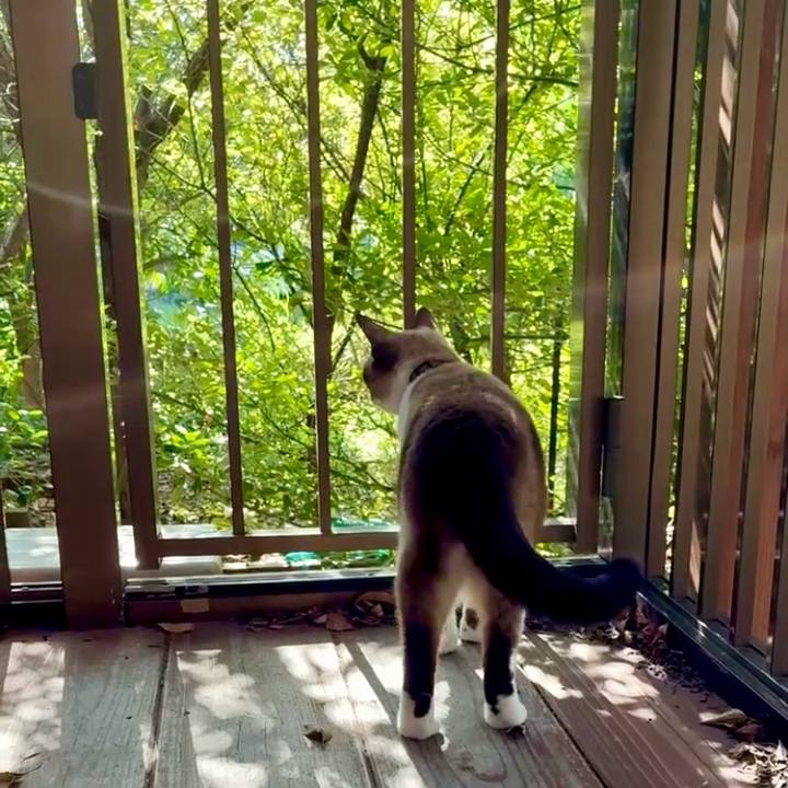 Ce6c0fa3 134b 432f ae6f 9703abe911a0 1759198074969