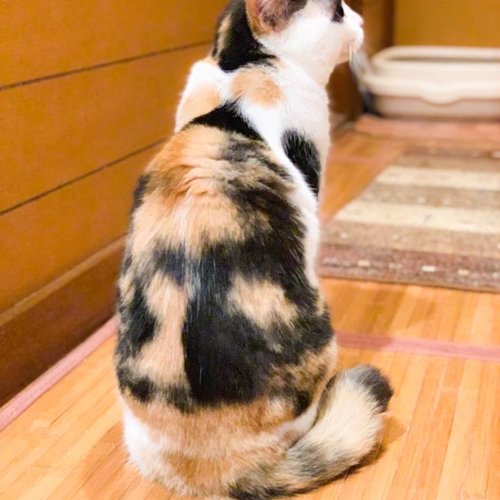 Ce6c18dd 80da 4262 b2c8 8374dbfbe11a 1569205973056