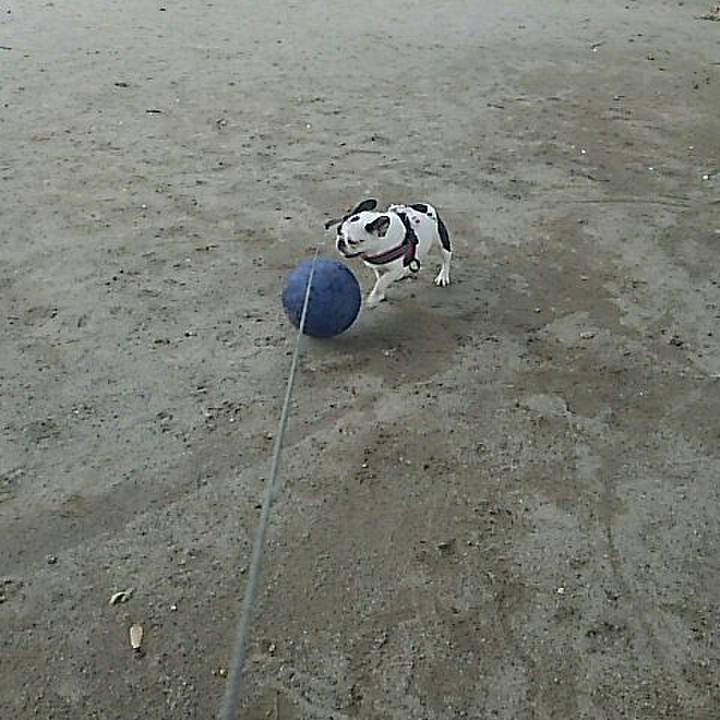 Ce6c1c72 0574 4b18 ba74 c74f6b1dbf23 1536365220911