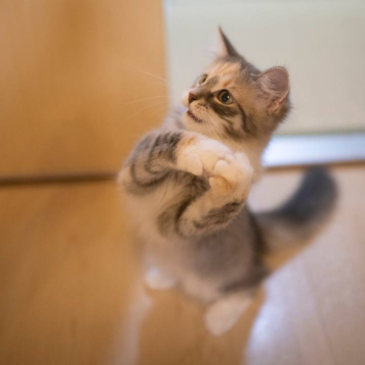 Ce6c1c97 0e53 4e65 b590 8ea3dcf21f15 1537393837625