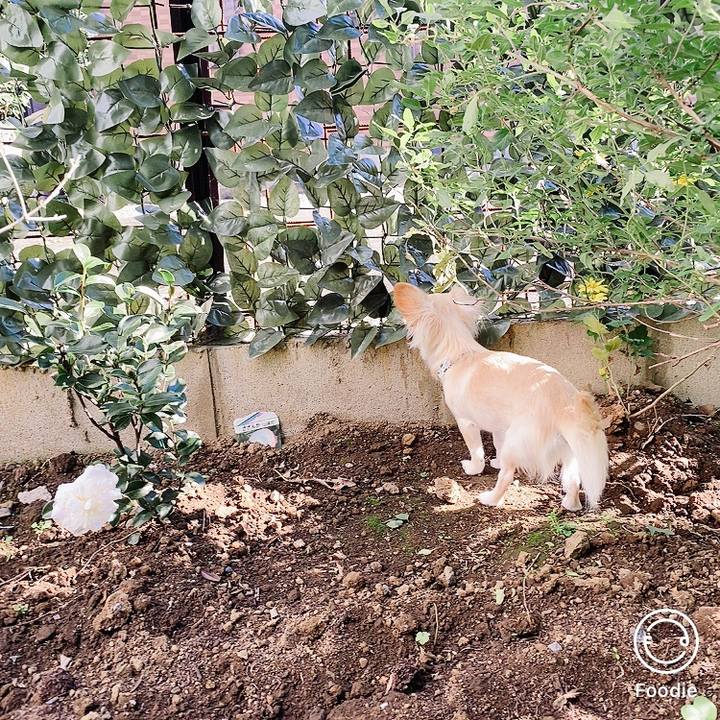 Ce6c7630 6029 493c a89e 2e66de452630 1607052968187