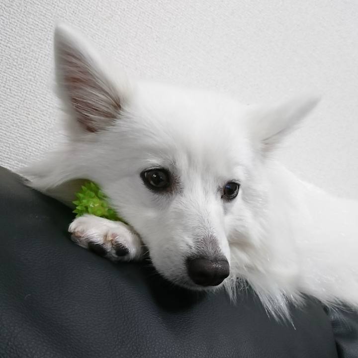 Ce6cac37 8dbd 4895 b6cc 4b8527a90883 1519877853103