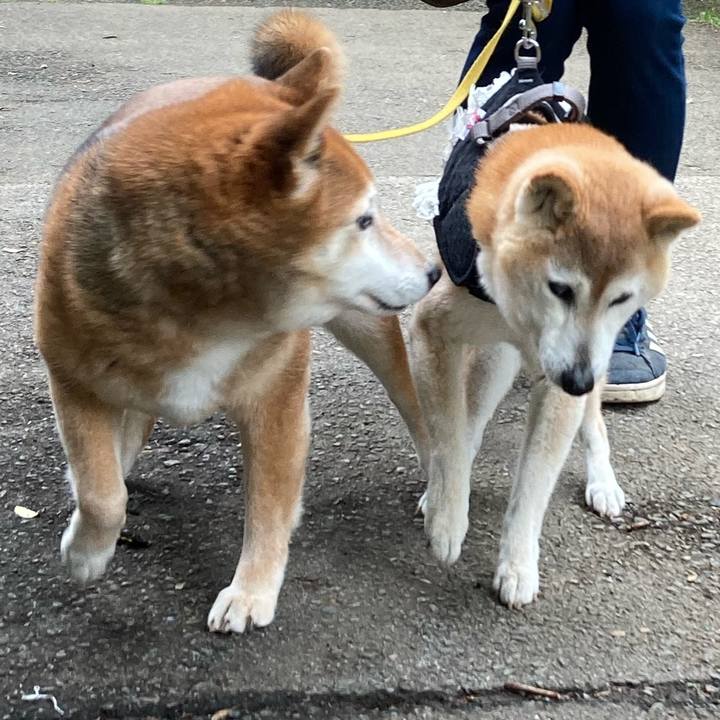 Ce6cdc31 8692 4cb6 b4b3 4298fdda4ab1 1652763833040