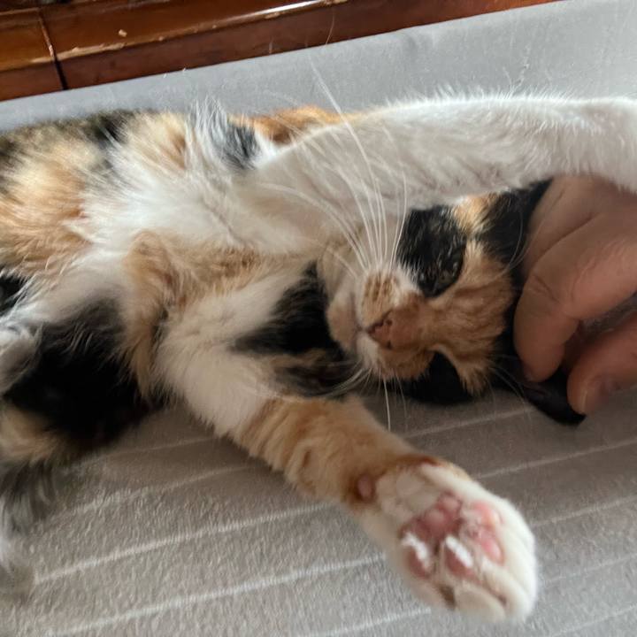 Ce6d9d14 0e65 4ed8 b4f4 3602b6b27b73 1708307090575