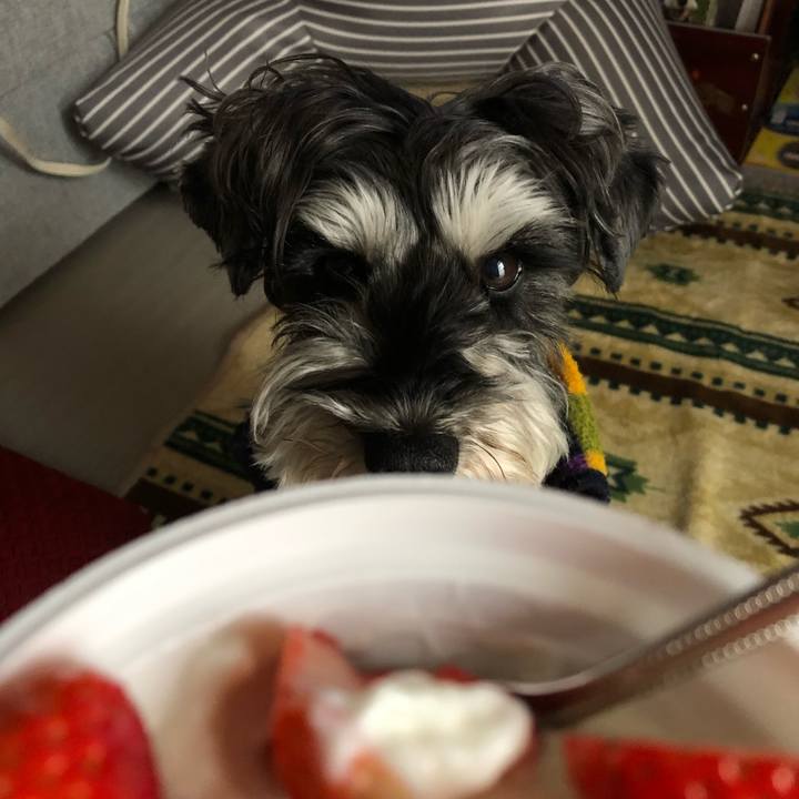 Ce6dd911 590b 46d2 b8a9 9850a63eca07 1648369670427