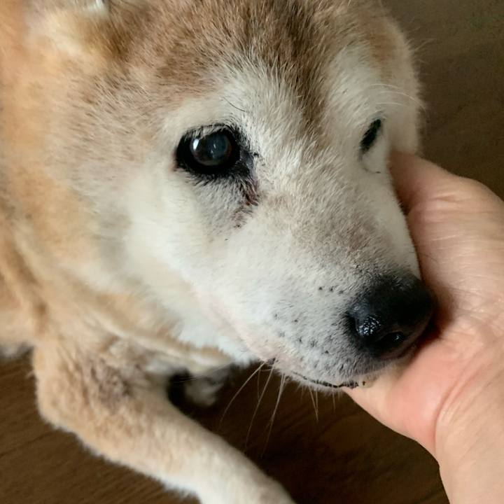 Ce6de3d2 baa2 4e70 868e 31baddbcd391 1656370886654