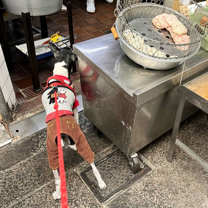 Ce6e0837 0cf3 419a 8125 ef5752234e2c 1647832152260