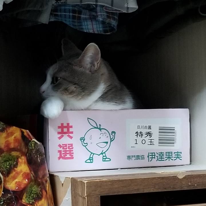 Ce6e0d38 4d84 4f38 a14b 31c092ff4fd7 1635858269410