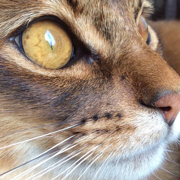 Ce6e1860 e139 45e1 bcd0 b54ca8b39325 1587780125973