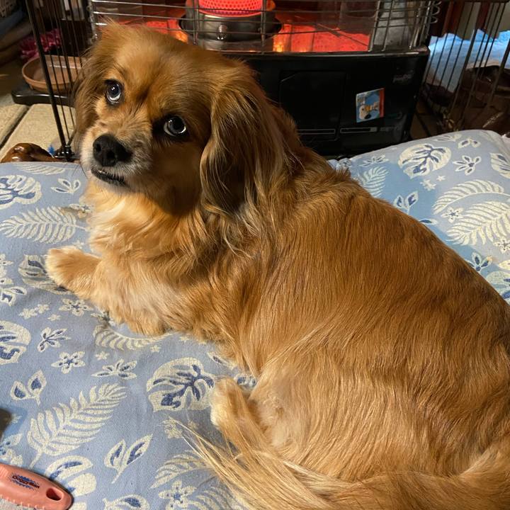 Ce6e2e76 0fff 44d1 b014 5c0cccd870b5 1612302299818