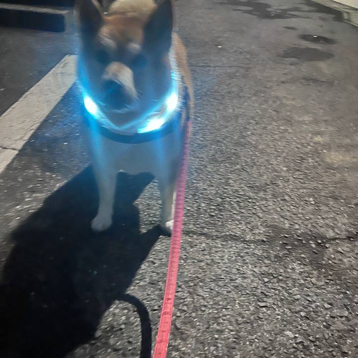 Ce6e48dd 889f 47b3 9101 ad477ddbfda7 1702369810220