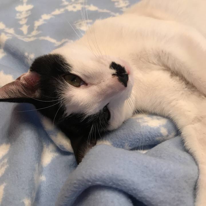 Ce6e9d05 30b9 4c5a a4c6 db53168cc8d4 1509933609666