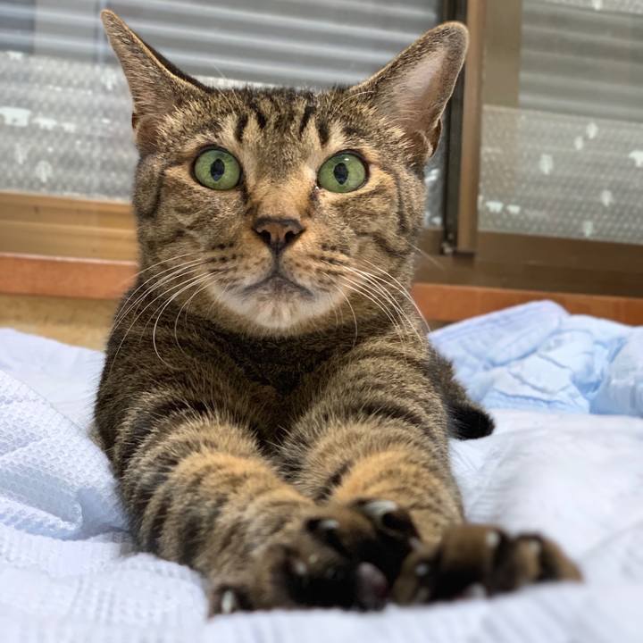 Ce6ed1eb a382 4ceb 9401 29ee46296382 1539047206465