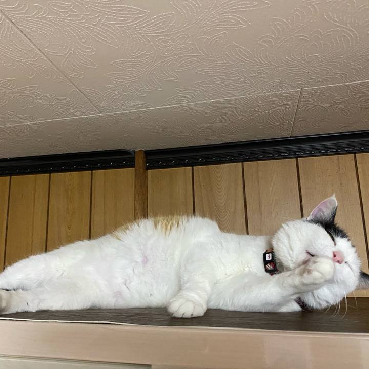 Ce6eda6b 0d28 4f68 91bf a5070704856c 1649847425664