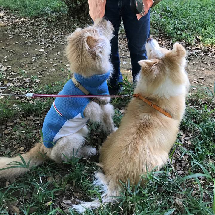 Ce6ef6e7 ee0f 44d2 8b56 59389e48304e 1626860848649