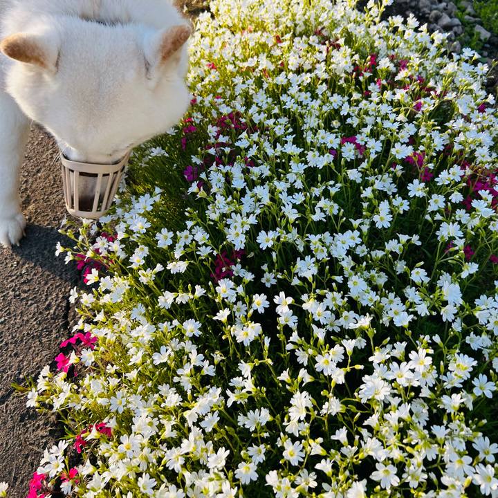 Ce6efcc6 f3b8 4cce 83c1 bb47ba91a063 1715981758548