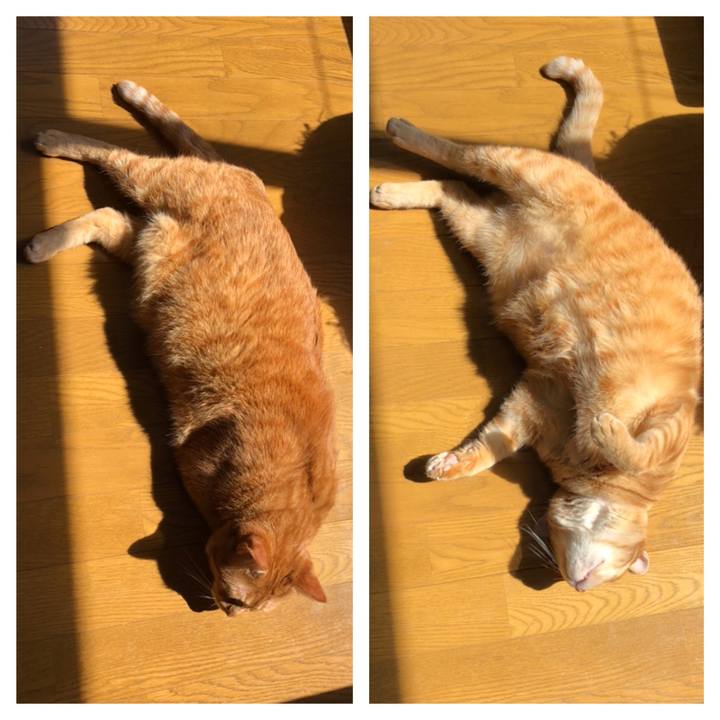 Ce6f04e6 99e8 4aa4 95ed f7adac3b7d1c 1590018418338