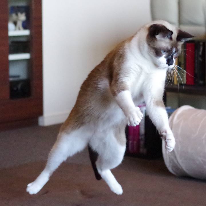 Ce6f2d13 53d8 4d66 88f1 4c220392e6f1 1537238553060