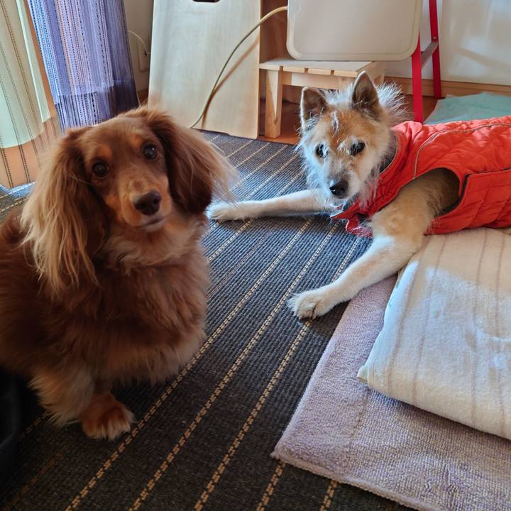 Ce6f726e 04a3 4947 a729 21f472659902 1638666496763