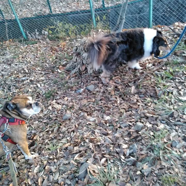 Ce6f8727 8718 43ae a14b e8d4fcbdcf73 1521209044634