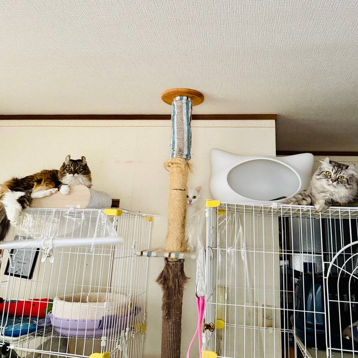 Ce6f8d03 ae4b 4a1c b897 24122a2c9ba8 1767669970681