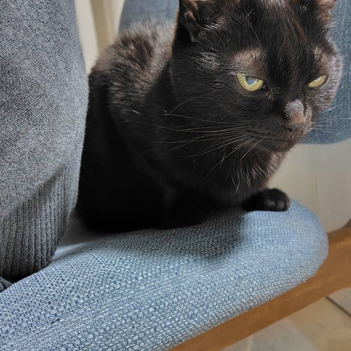 Ce6fa5a6 d635 4c16 9204 b05ea03c3954 1772017622395