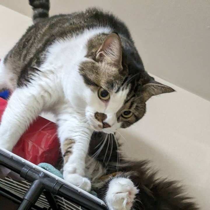 Ce6fc05a f6da 4b10 af94 84a82807e776 1694685142522