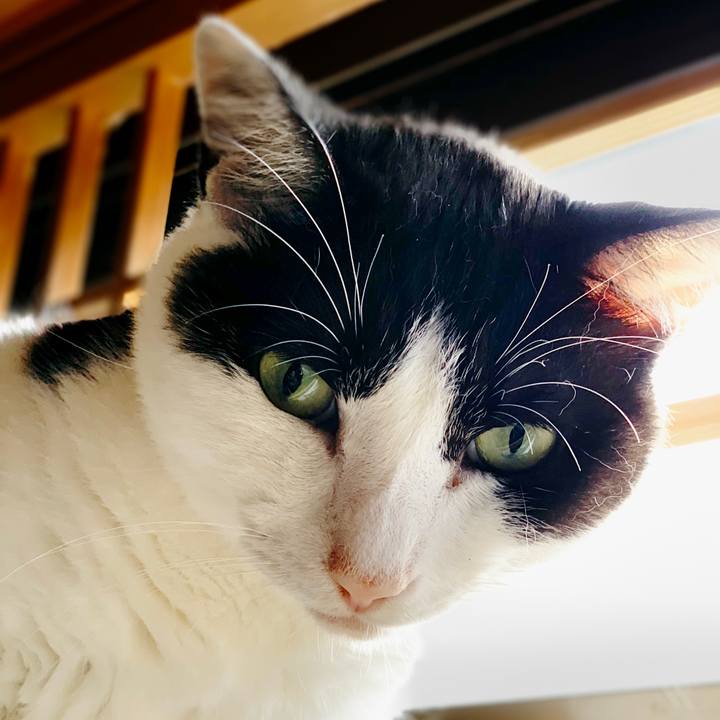 Ce6fce91 d73f 4732 b95f 38f49084ecff 1595036820838