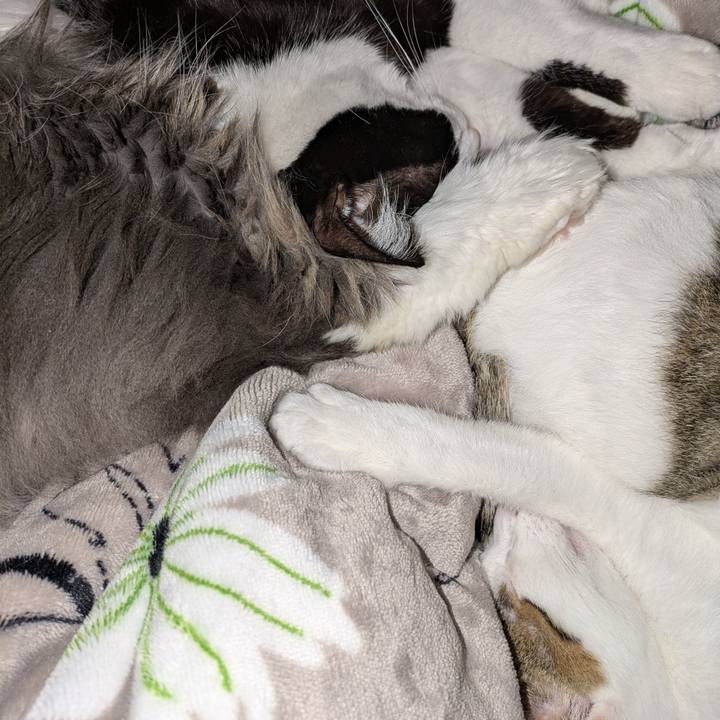 Ce6fe5e0 1b44 46e2 9241 1f3d14e06ba4 1768178537412