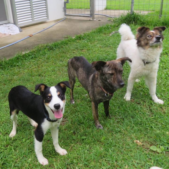 Ce6fe730 8fbd 4b7d 8100 67edc31b7908 1561558694262