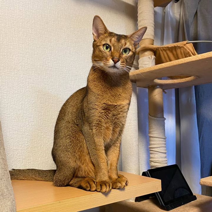 Ce6ff01c efad 4638 b4ef c9b52d0a45ab 1764061987322