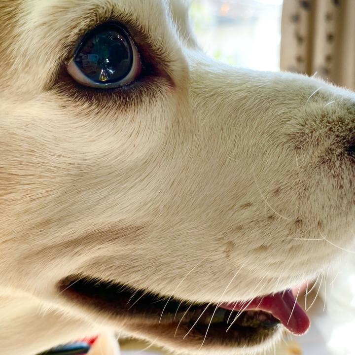 Ce7013cb 1098 4337 84d1 2123da7e7e08 1607918819225