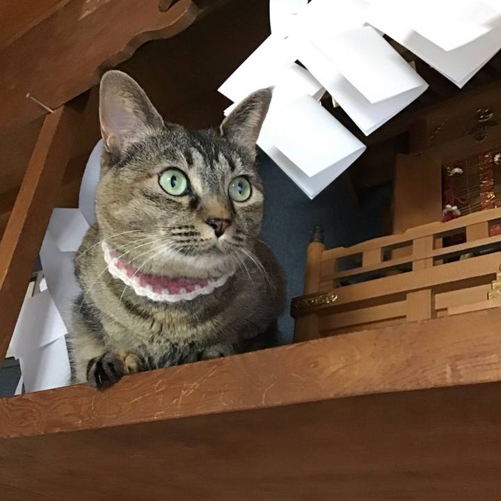 Ce704d17 8bf3 4b6a 8612 8ae0df085e94 1716285887389