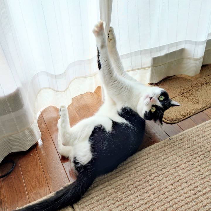 Ce706b19 e4fa 4695 90dc 24c3081ff9eb 1761974940124