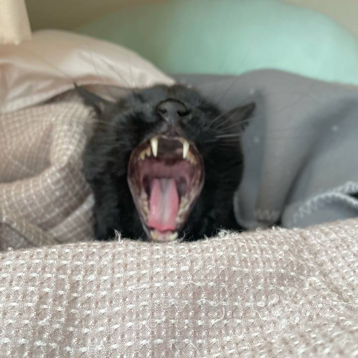 Ce70b058 9f99 429c 86a7 c56f06bf234d 1709436352851