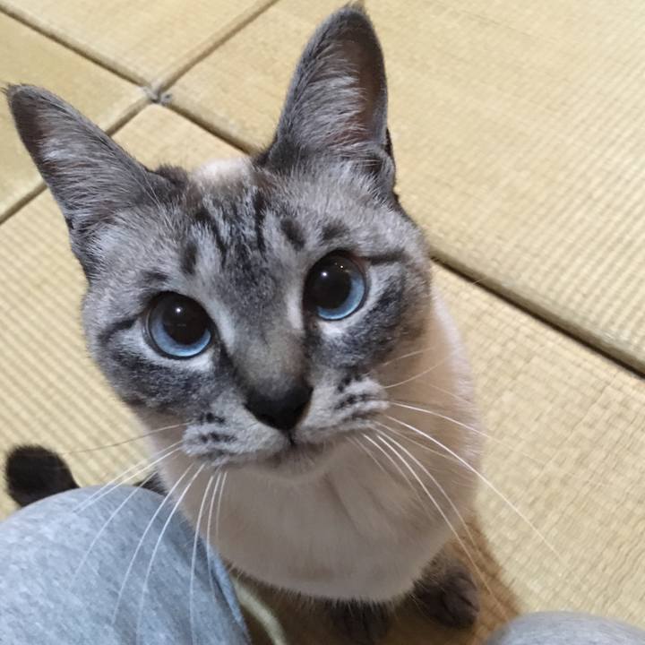 Ce70ce72 60b9 4822 b0e0 5fdb54b429f5 1582198540653