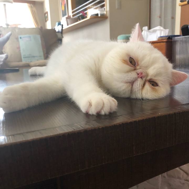 Ce70d3cf 0fa8 49f2 a70e 6fd6f28682a3 1569643215312