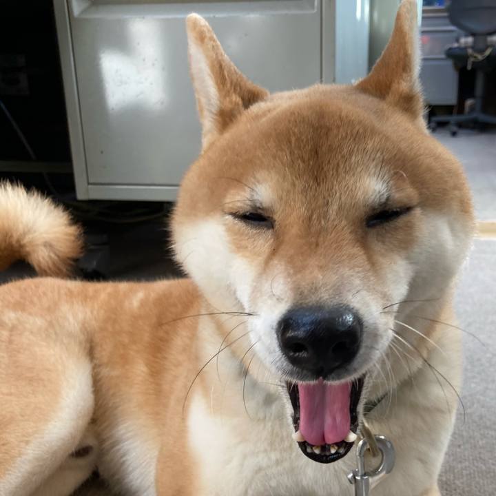 Ce70ea71 4a9e 492e 974e 4399474a68ce 1613113809232