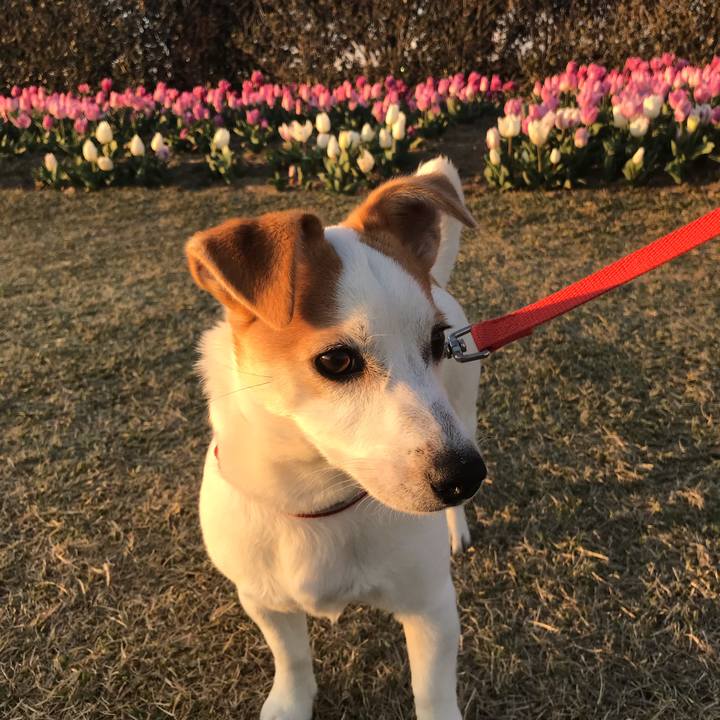 Ce710905 62cf 4fdb af37 dff50053f8be 1553337433521