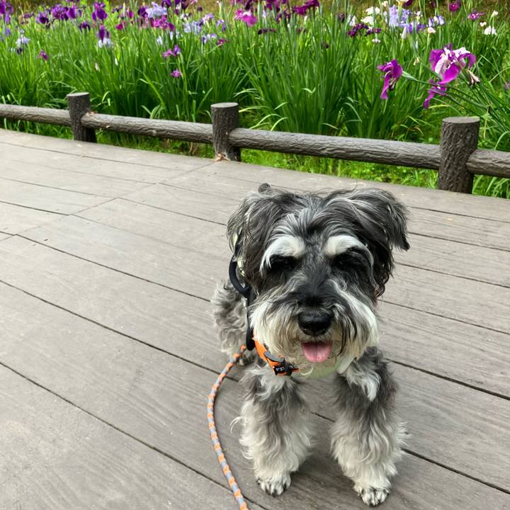 Ce711294 8669 4cc8 b623 e09f789a391d 1718285183591