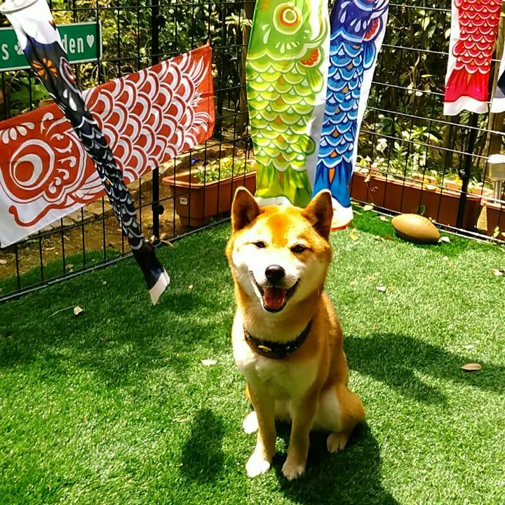 Ce713bbe af8c 4760 a65e e61db2407f46 1556856831576