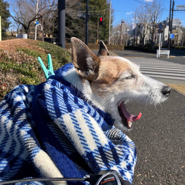 Ce714455 2408 4012 9a51 919eb0d3dacf 1739316520371