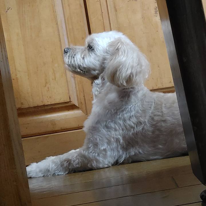 Ce71582f fe4a 4a03 9e4a b74493fca088 1633518547901