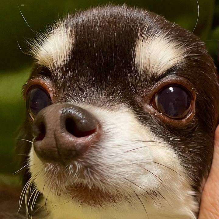 Ce718176 f318 4eb2 a34a e395a85ba799 1737788466840