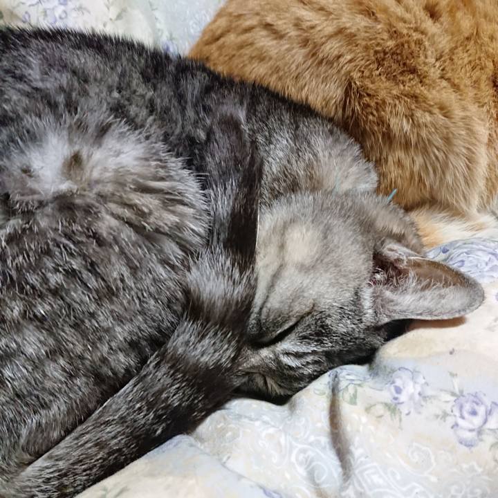 Ce7199f1 22a0 4b09 a39a 7c8b60014e9b 1575636170092