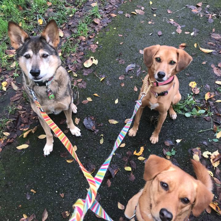 Ce71ce7d 5091 4554 9f3b 60d42b1d1fcc 1508479668890