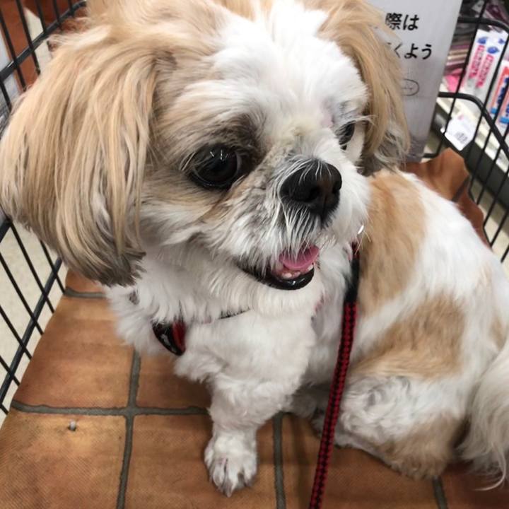 Ce71d038 8680 452b 8217 1f4e174233be 1560462115170