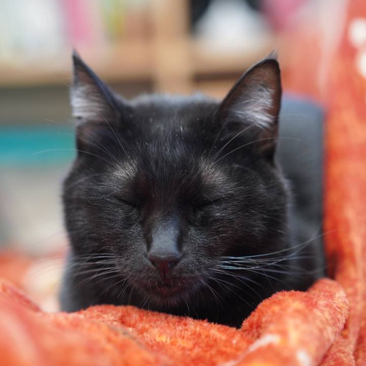 Ce71d085 8557 439c 8314 b9dd3026c073 1577318656242