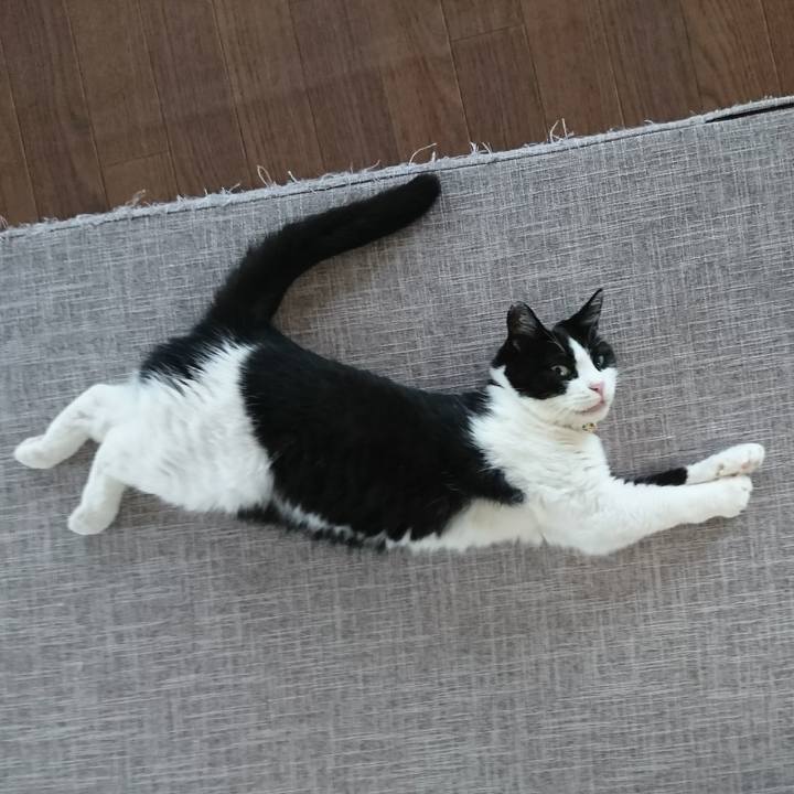 Ce71d3f0 0b0b 4405 8259 528c68ad229d 1597048309690